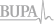 Bupa Logo